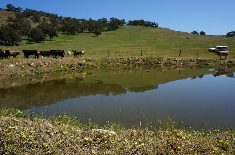 Seventh view of Homely land listing, Lot 101 Cobbler Pool Road, Toodyay WA 6566