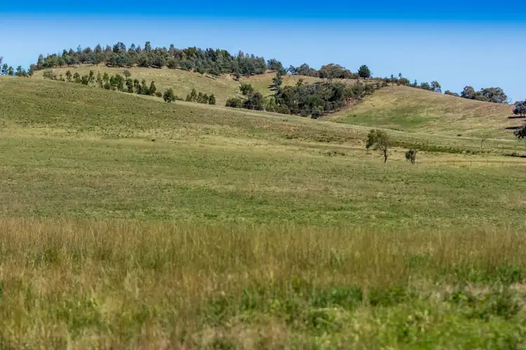 Fourth view of Homely land listing, 838 Murrumbateman Road, Murrumbateman NSW 2582