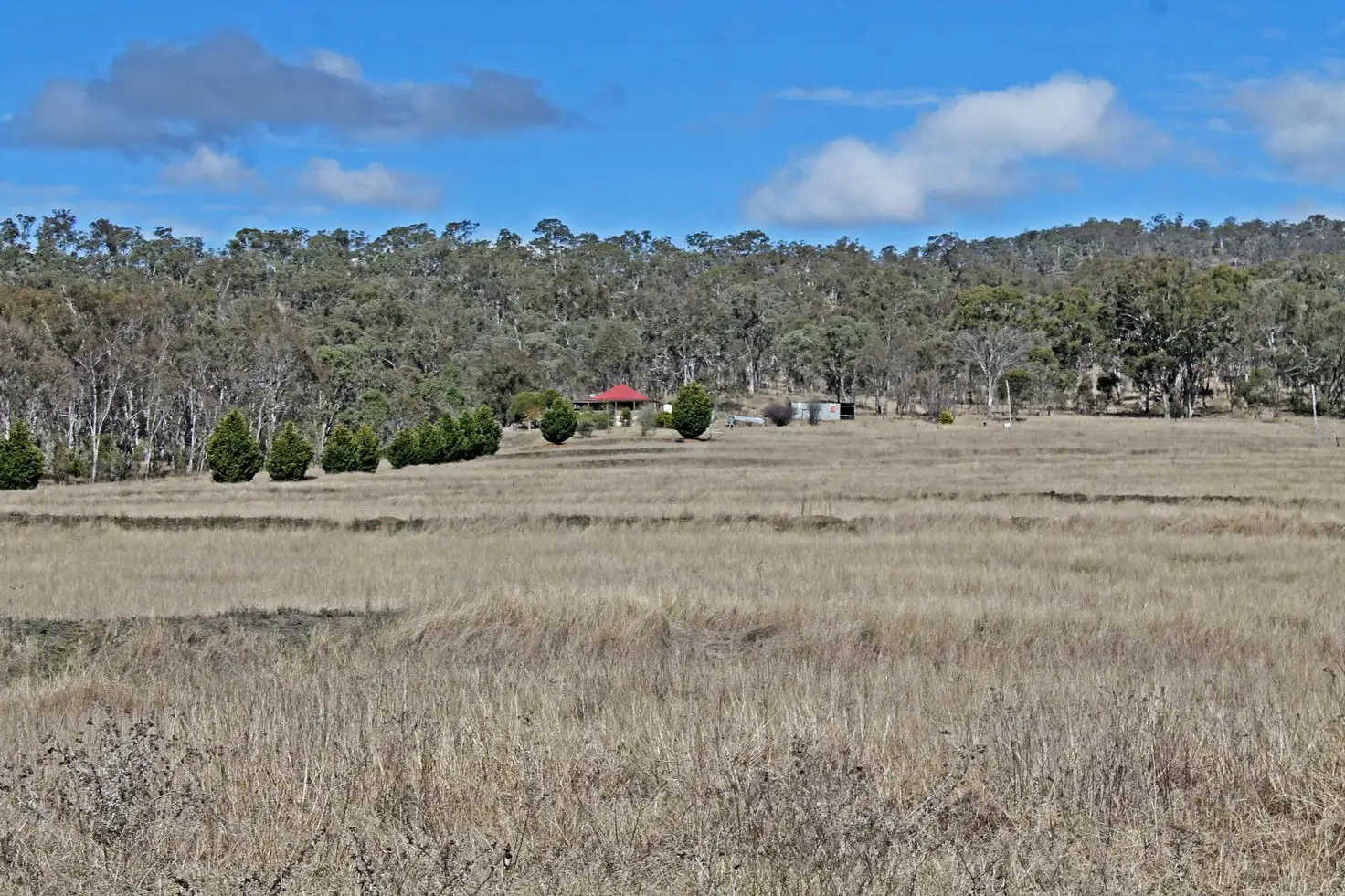 Main view of Homely rural property listing, 1750 Inverramsay Road, Goomburra QLD 4362