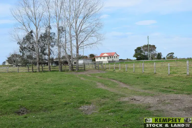 Fifth view of Homely rural property listing, 479 Plummers Lane, Rainbow Reach NSW 2440