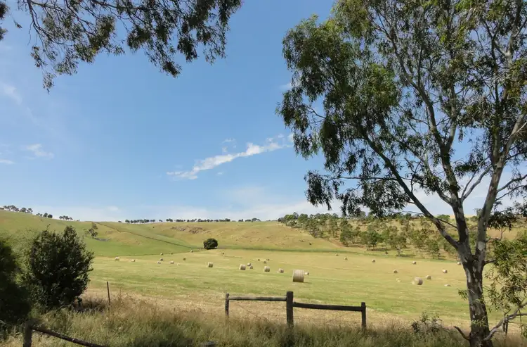 Third view of Homely rural property listing, 359 Scrubby Hill Road, Highland Valley SA 5255