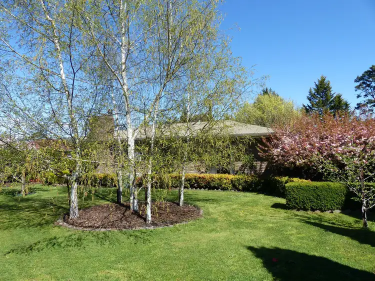 Second view of Homely house listing, 38 Marriott Street, Westbury TAS 7303