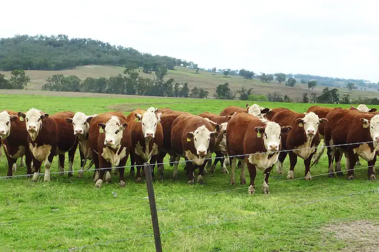 Sixth view of Homely rural property listing, Address available on request