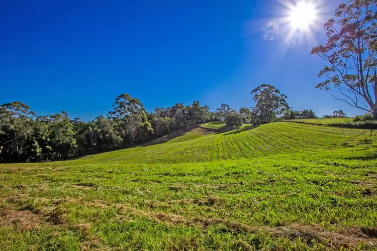 Fifth view of Homely house listing, 90 General Stubbs Drive, Rosebank NSW 2480