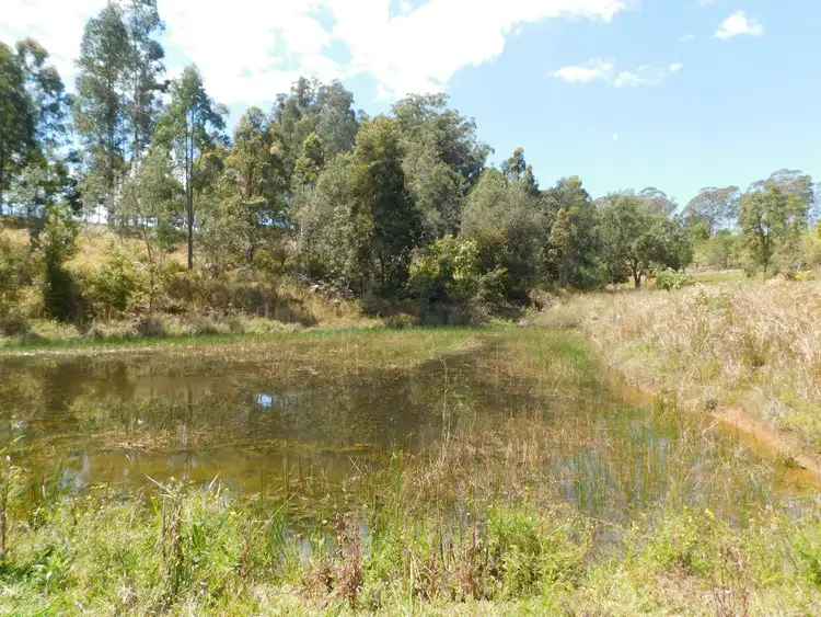 Fifth view of Homely rural property listing, 104 DAVIS ROAD, Kyogle NSW 2474