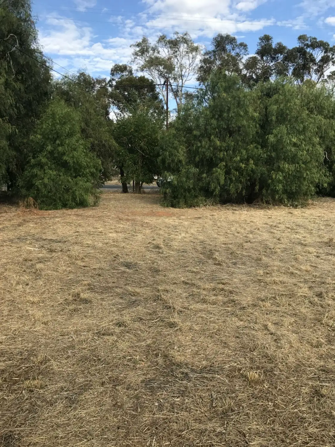 Main view of Homely land listing, 51 Horrocks Highway, Stone Hut SA 5480