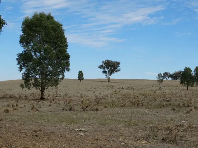 Sixth view of Homely rural property listing, . Urana Road, Walbundrie NSW 2642