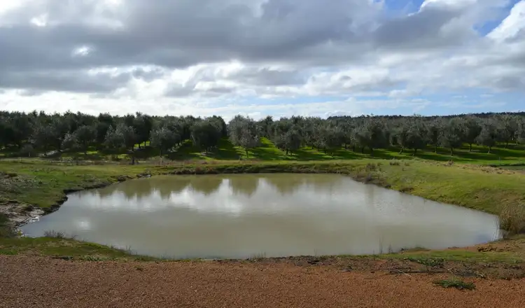 Fourth view of Homely rural property listing, L1 Donnybrook-Boyup Brook Road, Mumballup WA 6225