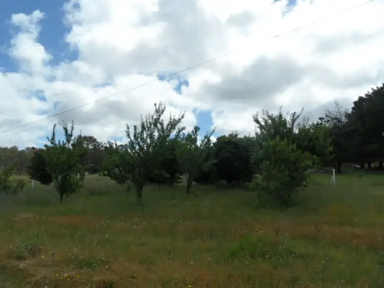 Sixth view of Homely rural property listing, 221 Nundubbermere Rd, Greenlands QLD 4380