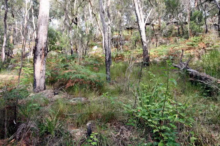 Sixth view of Homely land listing, 554 Settlers Road, Lower Macdonald NSW 2775