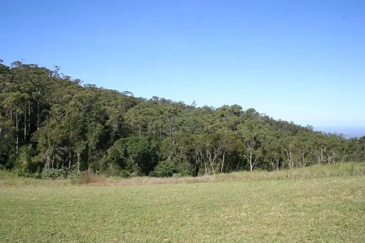 Fourth view of Homely rural property listing, L116 Latimore Road, Comboyne NSW 2429