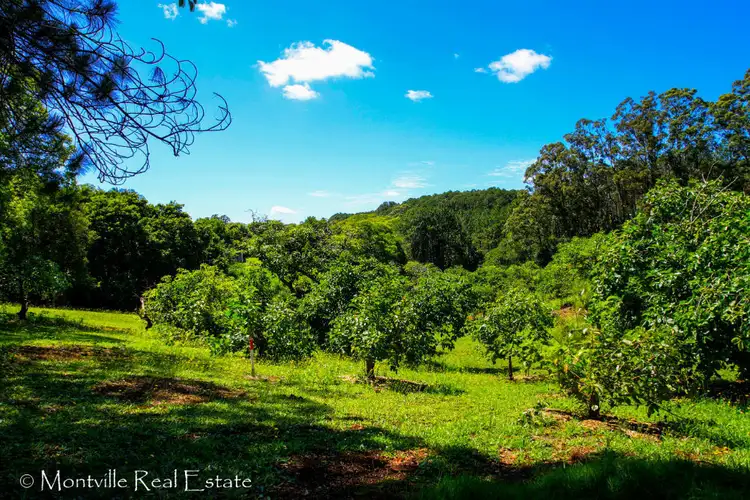 Third view of Homely land listing, 52 Main Street, Montville QLD 4560