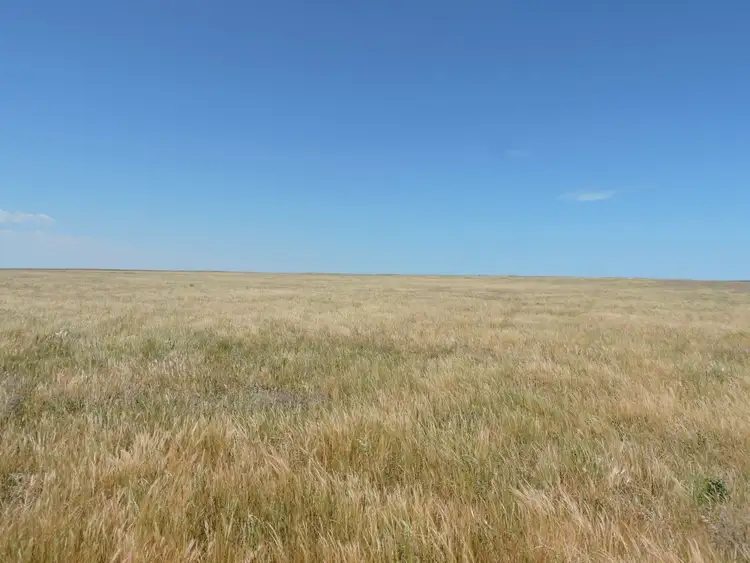 Fifth view of Homely rural property listing, Address available on request