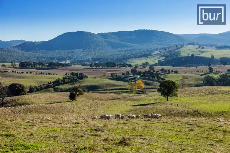 Seventh view of Homely rural property listing, 49 Perkins Rd, Lucyvale VIC 3691