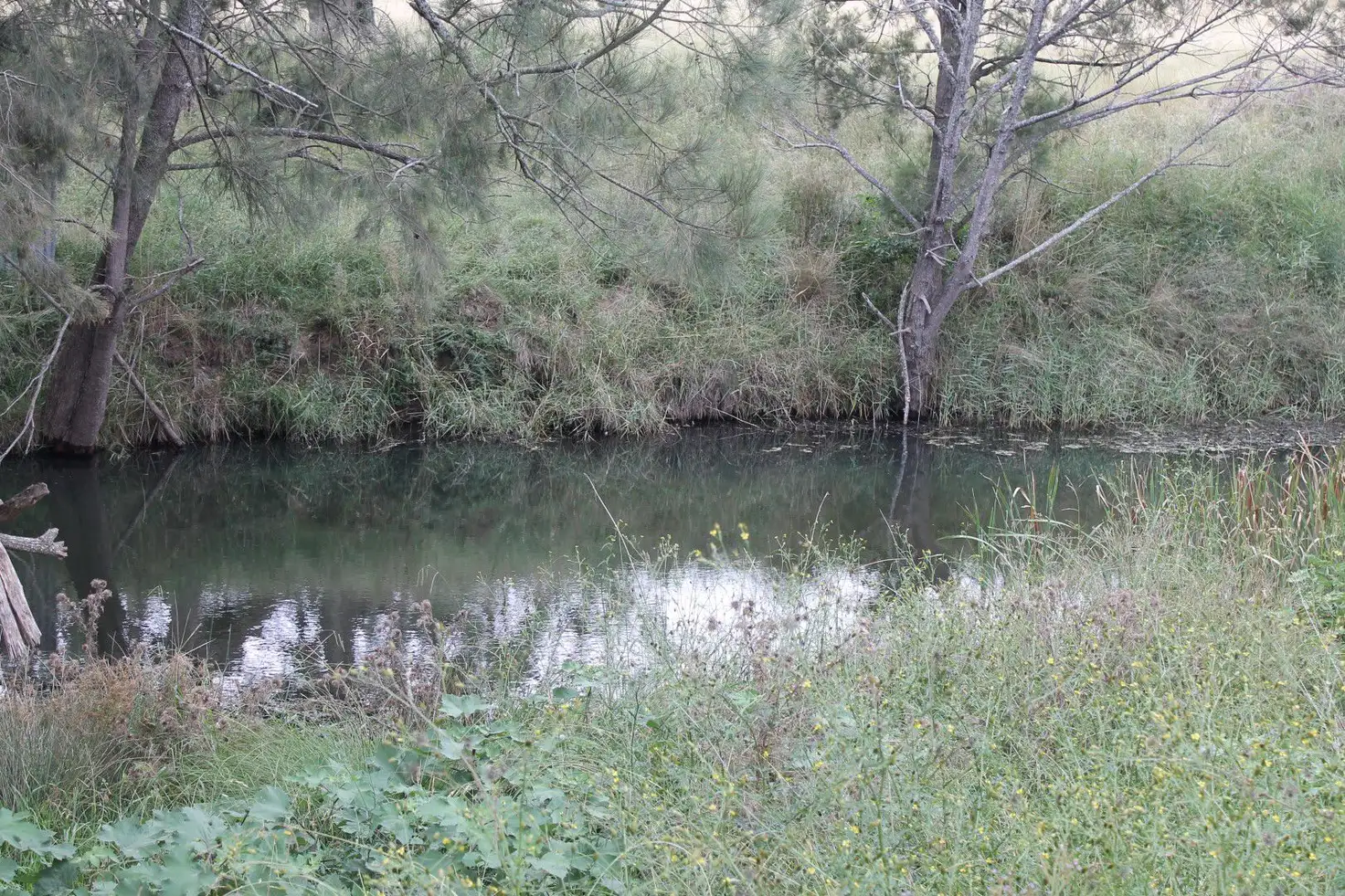 Main view of Homely land listing, L29 Rosenthal Road, Rosenthal Heights QLD 4370