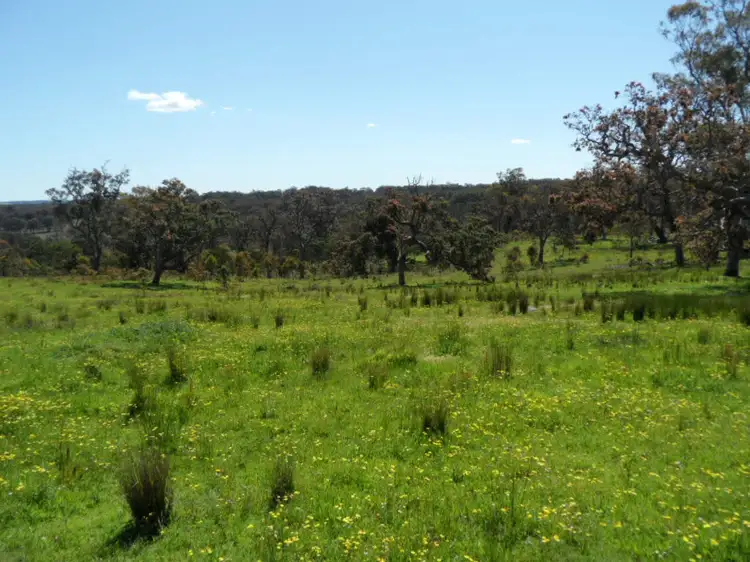 Third view of Homely rural property listing, 221 Border Gate Road, Stanthorpe QLD 4380