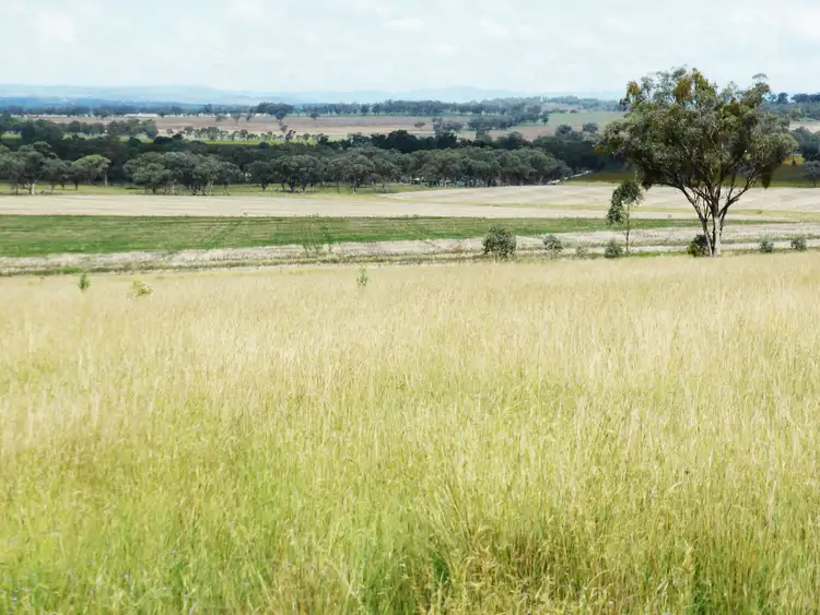 Fourth view of Homely rural property listing, Address available on request