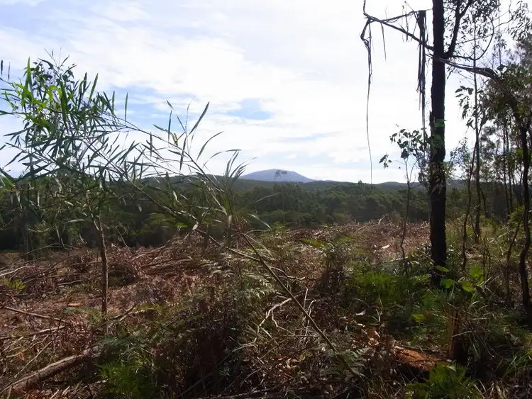 Third view of Homely rural property listing, Portion 35, Narrabarba NSW 2551