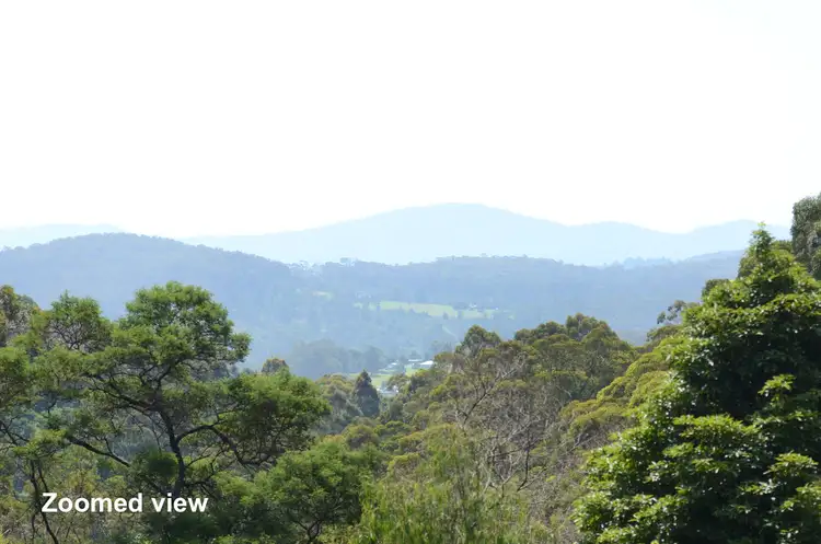 Third view of Homely rural property listing, L411 Ruggs Road, Nethercote NSW 2549