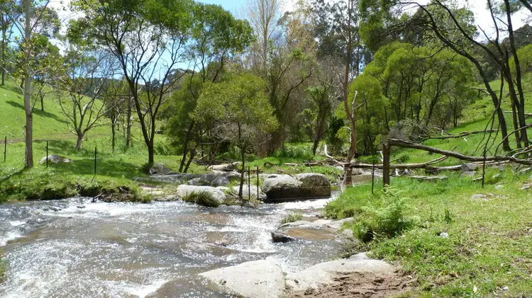 Sixth view of Homely rural property listing, 389 Davies Road, Warrenbayne VIC 3670