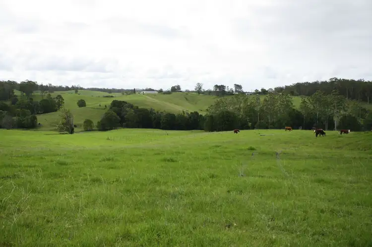 Second view of Homely rural property listing, 586 CONGARINNI Road South, Congarinni NSW 2447