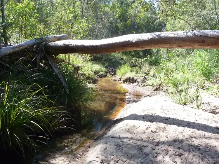 L2 Bruce Highway, Isis central QLD 4660