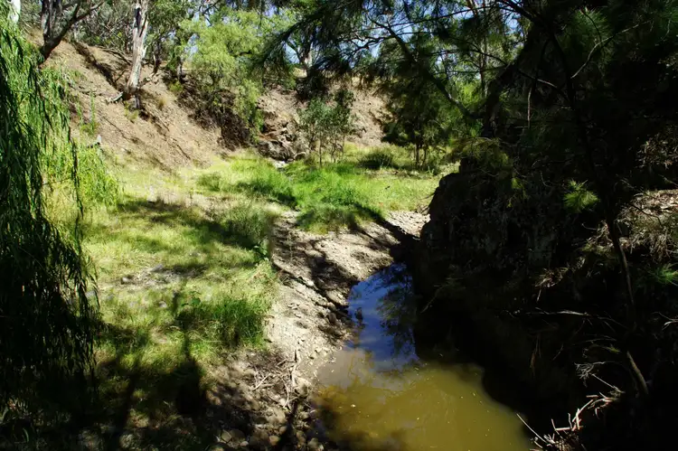 Seventh view of Homely rural property listing, 7729 New England Highway, Willow Tree NSW 2339