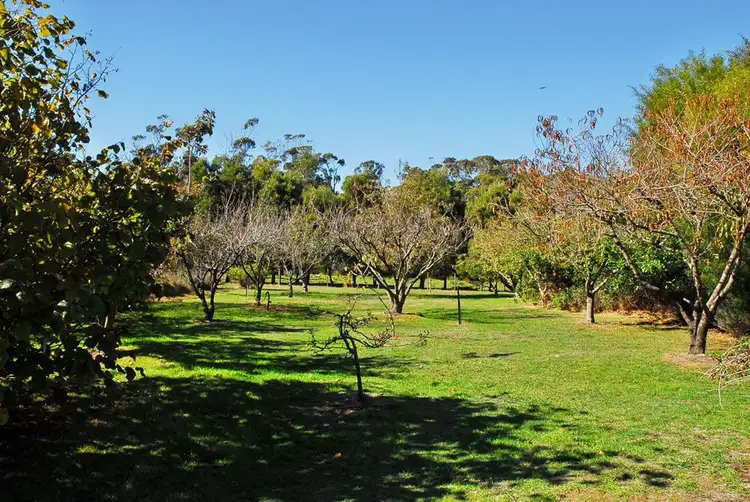 Seventh view of Homely rural property listing, 199 Bakers Lane, Northdown TAS 7307