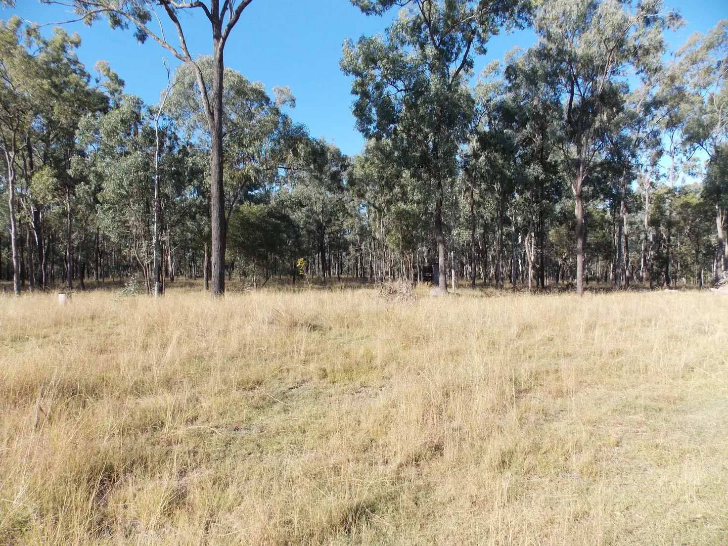Main view of Homely rural property listing, 369 Greys Plains Rd, Merryvale QLD 4340