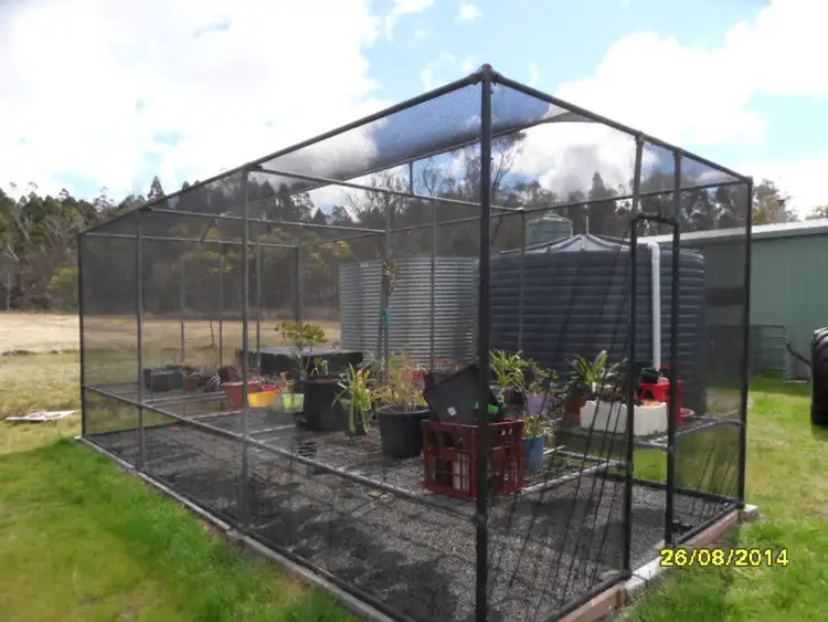 Sixth view of Homely rural property listing, 225 Ellwood Road, Stanthorpe QLD 4380