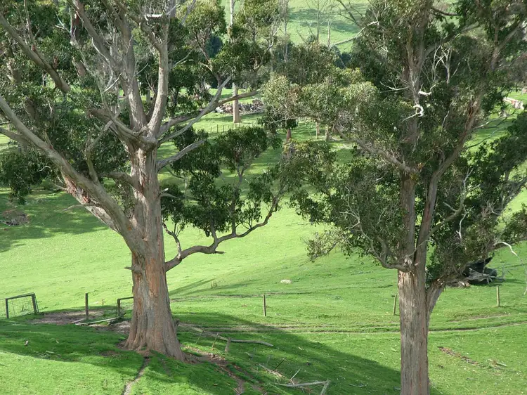 Sixth view of Homely rural property listing, 67 Rowleys Road, Karoola TAS 7267