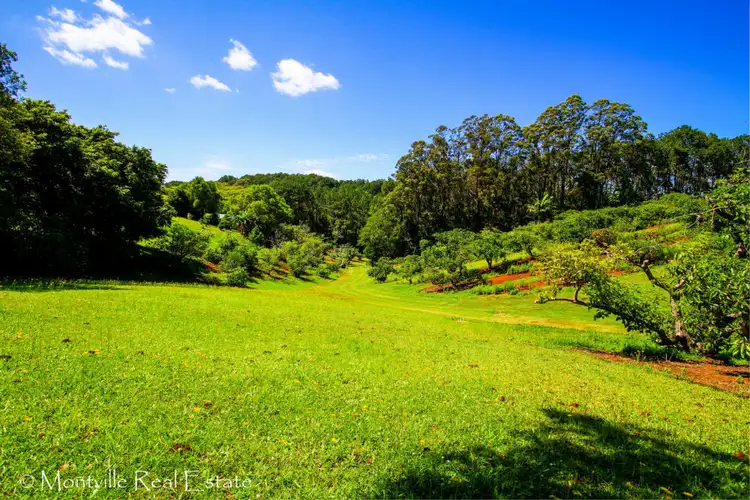 52 Main Street, Montville QLD 4560