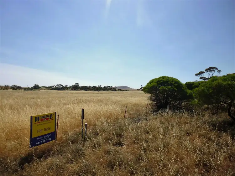 Main view of Homely land listing, 408 Mundoora Road, Mundoora SA 5555