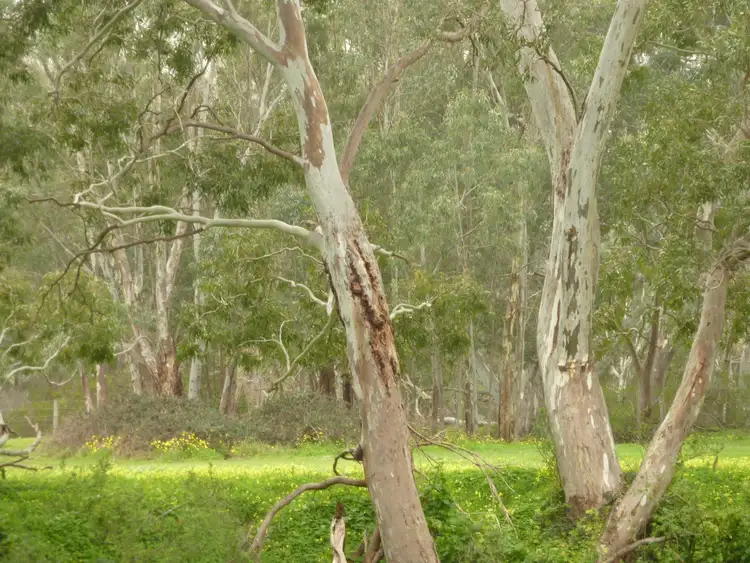 Third view of Homely rural property listing, Lot 1310 Inman Valley Road, Inman Valley SA 5211