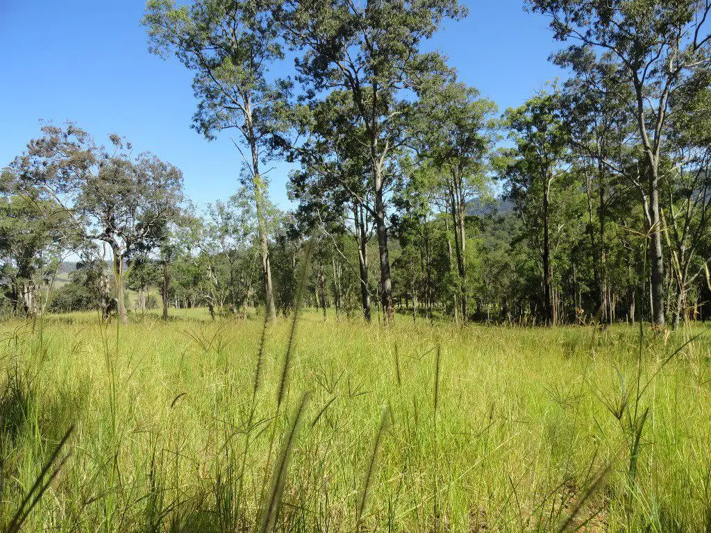 Main view of Homely rural property listing, Address available on request