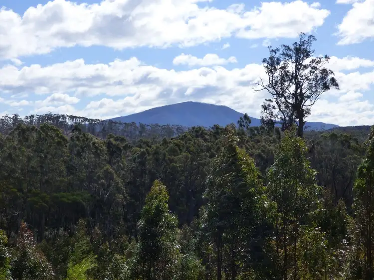 Main view of Homely rural property listing, Lot 35 DP 750208, Narrabarba NSW 2551