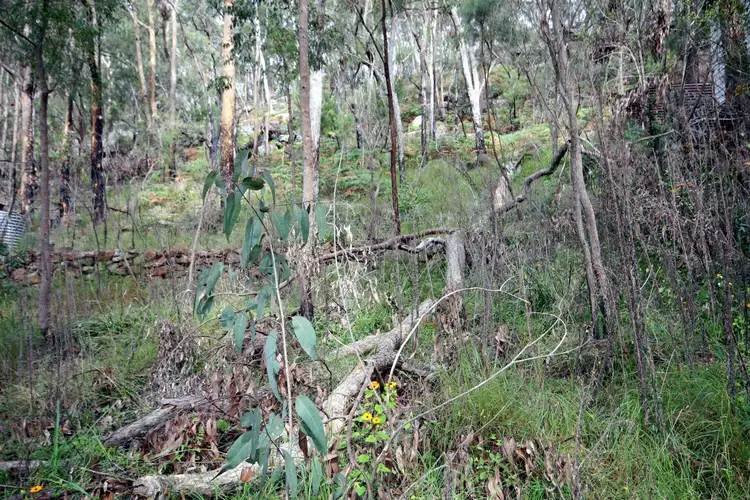 Second view of Homely land listing, 554 Settlers Road, Lower Macdonald NSW 2775