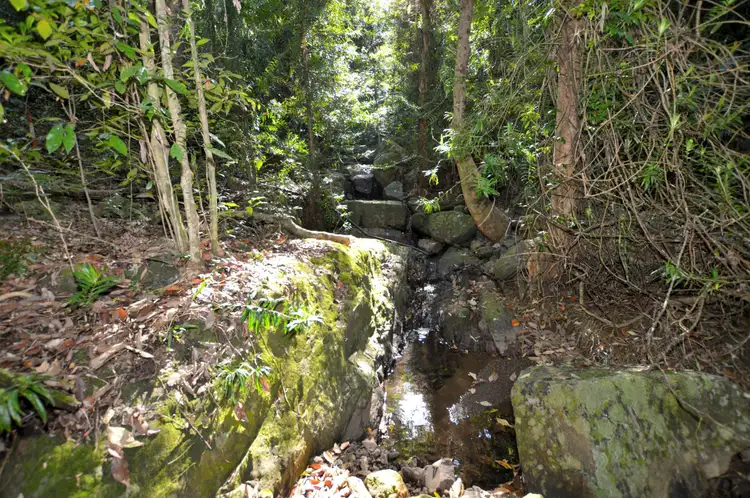Sixth view of Homely land listing, 145 Kirbys Road, Montville QLD 4560