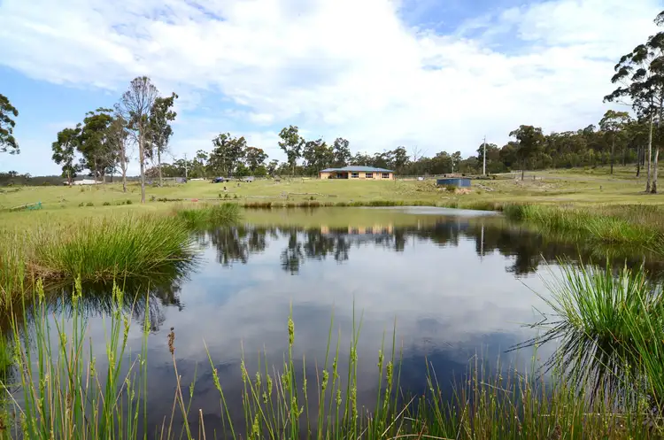 Second view of Homely rural property listing, 61 Grenenger Road, Greigs Flat NSW 2549