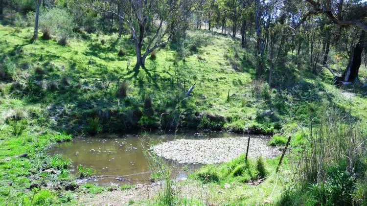 Fourth view of Homely rural property listing, Address available on request