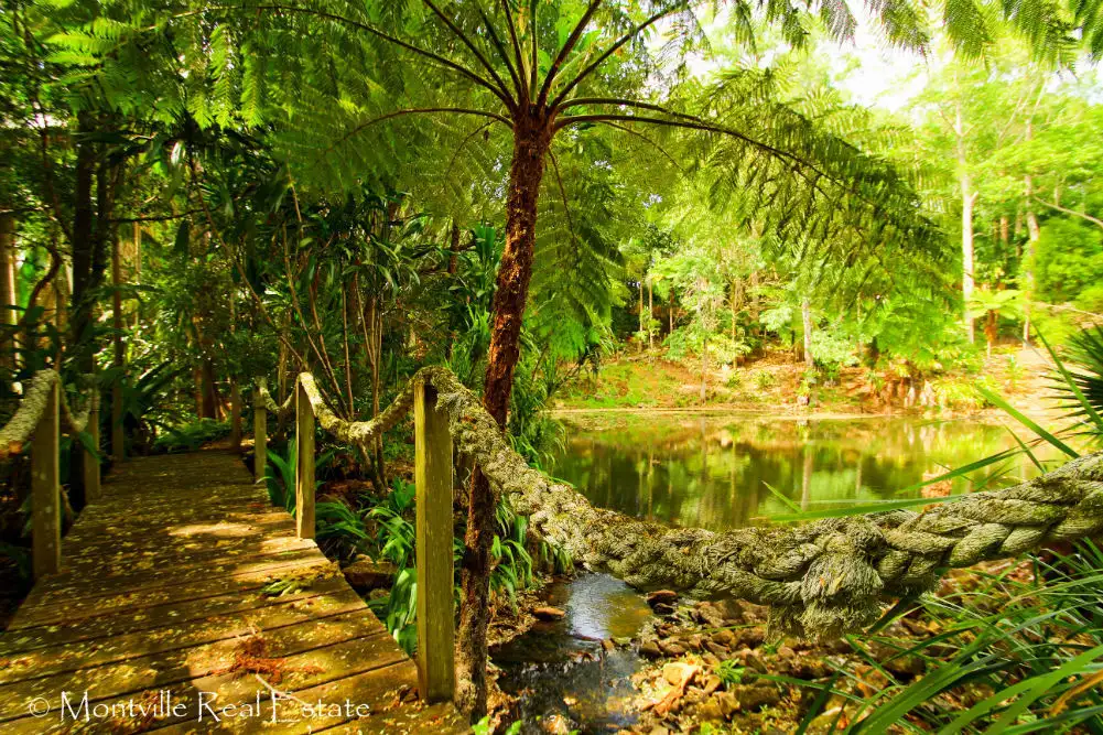 Main view of Homely house listing, 13 Brigadoon Court, Flaxton QLD 4560