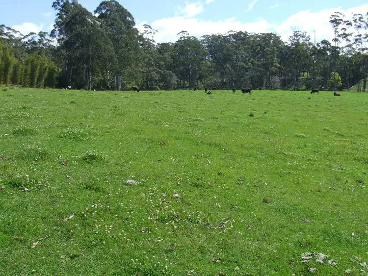 Fourth view of Homely rural property listing, Lot 220 Mardells Road, Bucca, Coffs Harbour NSW 2450
