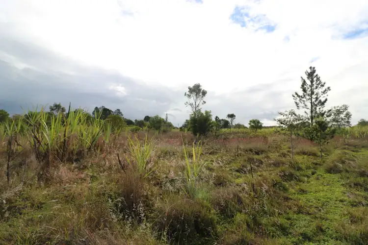 Second view of Homely land listing, Lot 5 Butchers Road, South Isis QLD 4660