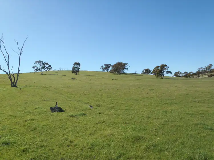 Fifth view of Homely land listing, Section 235E Appila-Tarcowie Road, Tarcowie SA 5431