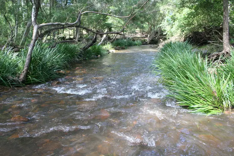 Lot 1 Brookhouse Road, Pembrooke NSW 2446
