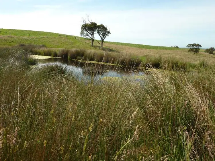 Second view of Homely rural property listing, Lot 155 Springmount Road, Inman Valley SA 5211