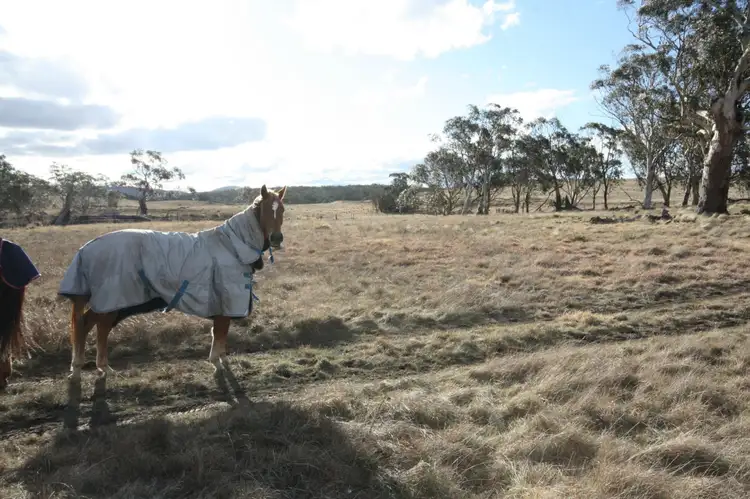 Second view of Homely rural property listing, 6 Dog Rock Close, Mulloon NSW 2622