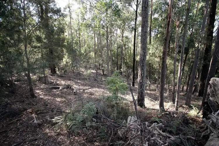 Third view of Homely rural property listing, L25 Kiaka Road, Nethercote NSW 2549