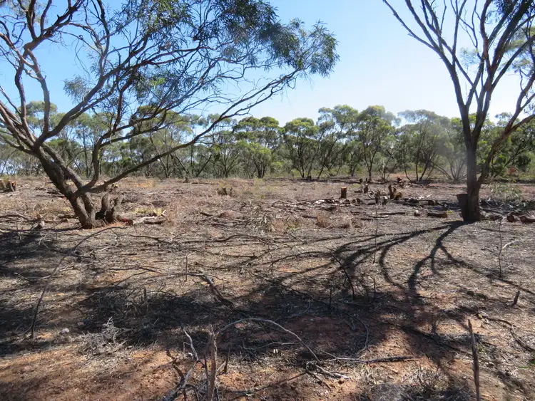 Fifth view of Homely rural property listing, Lot 23 Wallaby Way, Wedderburn VIC 3518