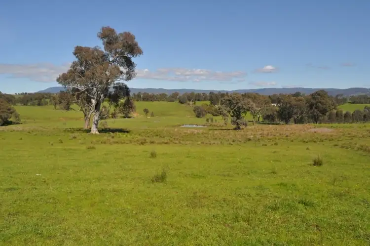 Fifth view of Homely rural property listing, . Tomkins Lane, Allans Flat VIC 3691